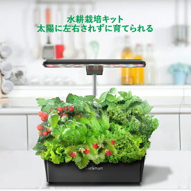 【スーパーSALE最大55％OFF】水耕栽培キット 室内 水耕栽培 おしゃれ 12株 家庭菜園 キット LEDライト付き 自動水循環システム搭載 高さ調節可能 5Lタンク IGS-20SE
