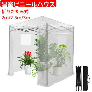 【お買い物マラソンSALE】ビニール温室 折りたたみ温室 2m/2.5m/3m 農業ビニールハウス 大型 組立簡単 高さ調整 家庭菜園 ガーデンハウス 防寒 グリーンハウス