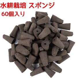 水耕栽培 スポンジ 60個入り ウレタン培地 水耕栽培キット用 有機 苗床 室内 ガーデン 植物育成 野菜栽培 家庭菜園 種まき