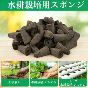 yX[p[SALE聕ő2000~OFFN[|zk͔| X|W 60 E^|n L@ c  K[f A琬