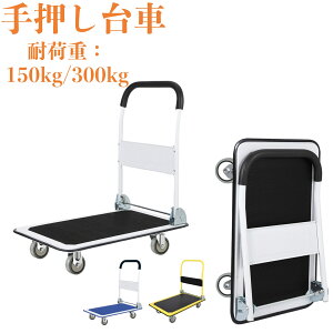 ���r���[���T�t�� ��� ����� �艟����� �܏�� �y�� �ω׏d150kg/300kg �X�`�[���� �É� ��V�� �R���p�N�g �L���X�^�[�t�� �X�b�L�����[ �Ɩ��p ���z�� �A�E�g�h�A ������ �ו��^��