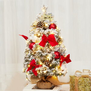 y18܂ŊԌ5OFFN[|&P5{zr[Tt NX}Xc[ 60cm 50cmቻ I[igt ڂ LEDC~l[VCg  ~jNX}Xc[ B g