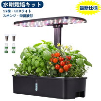 楽天市場】LED 水耕栽培 キット（花・ガーデン・DIY）の通販