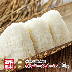 ߘa7NY V ~L[NC[ 10kg    LY Pꌴ   Y