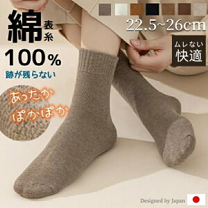 ₦ƂC C zM RہEhL pC fB[X Y \bNX ₦C ubN `R[ O[  22.5cm ` 26cm  ۉ [\bNX ~ h 