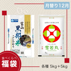 �y���萔20�z���ւ蕟�� 12�� �u�����h�� �H�ה�� 10kg �R�V�q�J�� �x�R�������Y ���� �R�`���Y �e5kg �ߘa7�N �� ���� �y�������o�ׁz�y�ߘa7�N�Y�z �y39�V���b�v�Ή��z�y���������z �y����