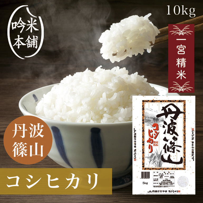 米　コシヒカリ　10kg コスパ米　中米　新潟県産コシヒカリ