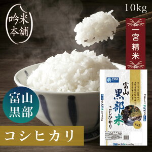 新米 コシヒカリ 10kg 富山県黒部産 令和7年 一宮製法 5kg×2 米 お米 こしひかり 単一原料米【送料無料】【39ショップ対応】【沖縄県・離島送料必要】