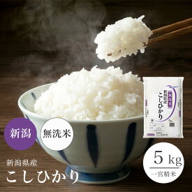 無洗米 コシヒカリ 新潟県産 5kg 令和7年 米 お米 単一原料米 こしひかり 【送料無料】 【39ショップ対応】【北海道・沖縄県・離島送料必要】