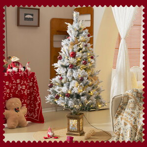 y120cm ቻρz2025NV NX}Xc[ k  LED LL  IWi|bgLxȎ} ȒPg NVbN^