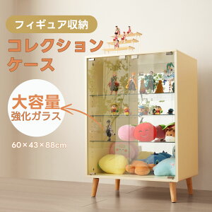 RNVP[X Ch e RNVVFt KXfBXvCLrlbg 4i ߉\ wʃ~[ KXI