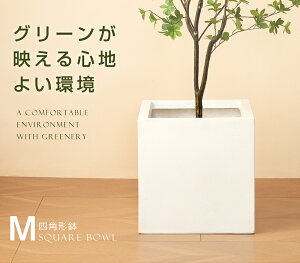 S size Aؔ  ^Aؔ y y 󂯎M M  Op p Jo[ OsO Xg A K[f v[