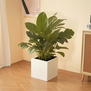 M size Aؔ  ^Aؔ y y 󂯎M M  Op p Jo[ OsO Xg A K[f v[