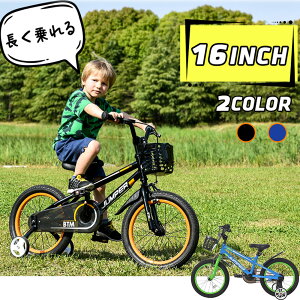 yzqp] 16C` ] X^ht qp cp y ⏕ x y^ PLیt av[g LbYoCN  qpoCN 95%g Kids j̎q 