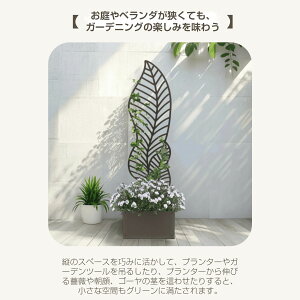 yuE?Type Bzv^[ttFX ډB tFX X`[ {[_[tFX v^[tFX eBX [^Cv 1