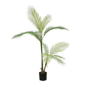 ϗtA tFCN 150cm V̖ ̖ tFCNO[ lHϗtA ^ h  ze CeA A 