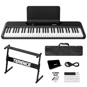 TERENCEdqsAm61ՃL[{[hsAm25WXeIXs[J[^b`X|XՎq/SҌsAmK|[^uMIDIΉ128Fgm[/^/vO@\L[{[c