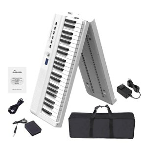 yifzOYAYOdqsAm88FP88D܂肽ݎ[dyʌgь^{iy_ΉMIDI@\129Fy_&P[Xt{(zCg)