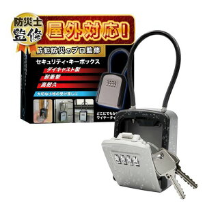 yvďCzZLeBL[{bNXC[4_CǗ[OphƓh~싞EdisonBrain