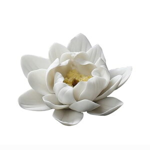 LanitočF@ԐMăZ~bNdFpibNXґz֍TKCeAu(zCg)