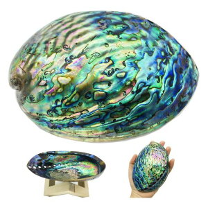 AoVF򉻎MČ܂ƂVRLzCgZ[WpTg󂯎MRA[gFPp[Xg[ґzCeAt