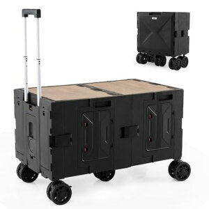 L[SLvJ[g^e[uƂgAEghASeʐ܂肽݃LX^[tω׏d60kgAEghALvsNjbNނԌ^(ubN)