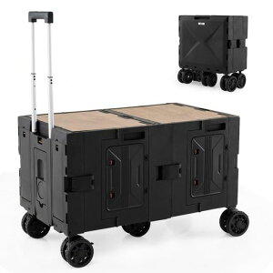 L[SLvJ[g^e[uƂgAEghASeʐ܂肽݃LX^[tω׏d60kgAEghALvsNjbNނԌ^(ubN)