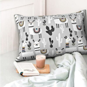 YUMEBLTD̋󐯋󖍃Jo[ȍ􂦂h_jzRۋɂ̔GhL炩qlGp()(ApJT{e43x63cm)