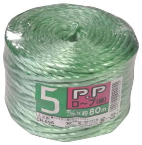 {wHPP[v5mmx80mCR]055