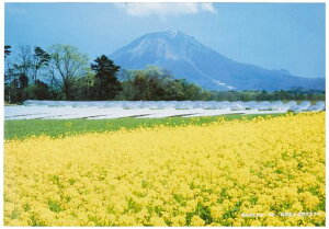 FUJICOLORzvt[A4ANVo[1166