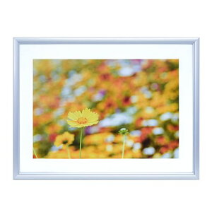 FUJICOLORA~zA32Ch4؃Vo[306655