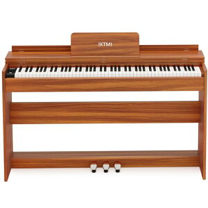 IKTMIdqsAm88Ճn}[ANVՖؐsAm883{y_tAbvCgsAmDigitalPianolCdqsAmMIDIΉlqSҗKIW