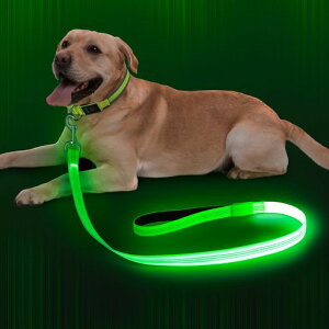 DlitkLED[hUCghbO[h1.2mPx郊[hF500mUSB[dybgpԈSU^^(O[120cm)