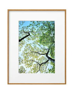 nNoHAKUBAyʊzZEROt[G-01A4i`FZG01-A4NT