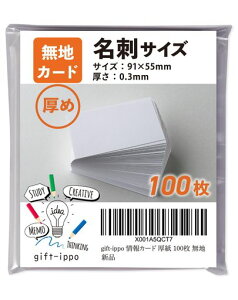 gift-ippobZ[WJ[h100nhTCYJ[hVv菑{