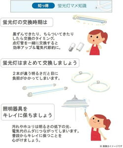 �p�i�\�j�b�N�c�C���u����13�`�N�[���F2�{�u���b�WFPL13EXD