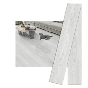 tA^CؖڒûcȂhCNV[gݖhNbVtAX܃gCpdiytOV[g121(ԍ56)