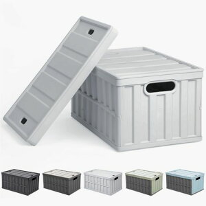 Hellozebra܂肽݃Rei^LvReigXRy֗EprEOpE܂݁ze64L*1[{bNXboxIRWtgȒPtςݏdˋω׏dg