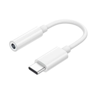 Lizoak^CvcCzWbNϊUSB-C3.5mmI[fBIA_v^[DAC24bit/96KHznC]ʒ߁EʘbEyΉϋviCP[uPhone16/15V[YiPadMacAndroid