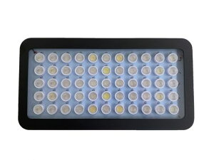 yPSEZpKzTS̈琬ƉFɓ165WLEDCgvYYubN{bNXƖCXMы\