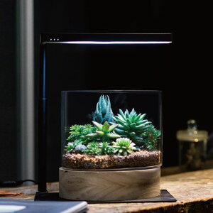 ONFExtensionStandHolderCgpX^h(X^ĥ݁ACg{͕̂ʔ)LEDANAECgAAƖAK̐TCY30cm