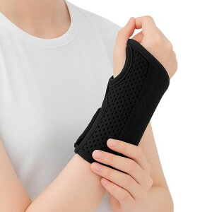 T|T|[^[FŒywÖ@mE̔zjpԂ玙(Ep)