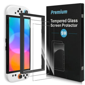 �y2������zForSwitch2�K���X�t�B�����y�K�C�h�g�t���z�ی�t�B����9H�d�xsalywin�Ռ��ی쓧�����ǂ����������C�A�[����U�h�~�X�C�b�`2�Ή�