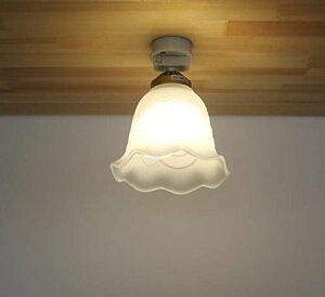 KIVENVƖV[OCg1XKXԖ͗lCgƖkfUCꃊrOpCggC|V[OHsvE26LEDdΉd1kg