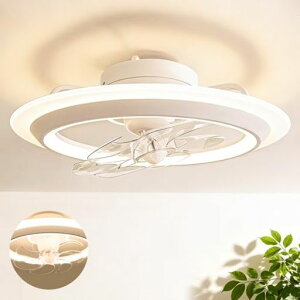 �y�I�V�������f���zTENKOO&YOU �V�[�����O�t�@�����C�g ������ 6~8�� ��56cm 4000lm 60W �T�[�L�����[�^�[