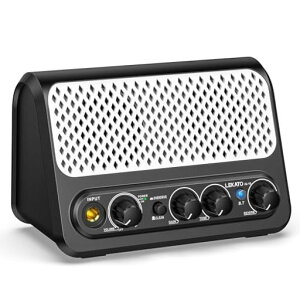 LEKATO�M�^�[�A���v���^10W�~�j�A���v�G���L�M�^�[�A���v�w�b�h�z��Bluetooth�N���[��/�I�[�o�[�hAUXIN2�T�E���h�`�����l���z���C�g/��