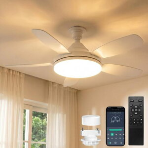SUKITEN �V�[�����O�t�@�����C�g 8-10�� ��81cm �y2026�N�ŐV�i���E��^�E�啗�ʁE���t��]�z E26 LED �t�@���t���Ɩ� 5000lm 44W ���^ �É� �O��DC���[�^�[���� ���i�K�������F APP���� �����R���t�� �c
