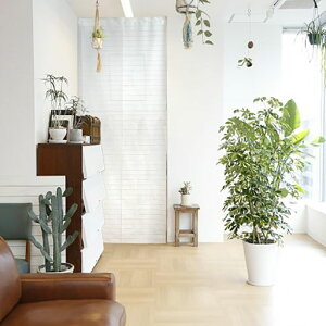 ̂H[̂Ԏd؂zCgplJ[e92x245cmԎd؂胍OXN[ecoȈՃp[e[VډBg[UPv[11590