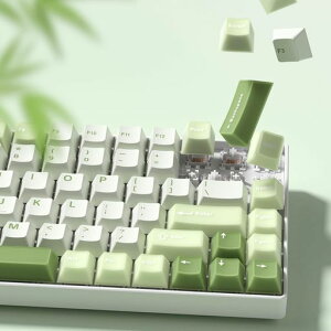 �L�[�L���b�v Womier �����O���[���L�[�L���b�v PBT�A60 75 100 �p�[�Z���g�A�������W�F�[�h�L�[�L���b�v �J�X�^�� 127 �L�[�A61/68/84/87/98/100 Cherry Gateron MX