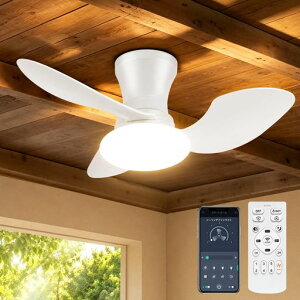�y�ɐÁE�����zTENKOO&YOU �V�[�����O�t�@�����C�g 52W 4,500lm ��^ ��80cm 8~10�� led �t�@���t���Ɩ� �V���@ ���F���� DC���[�^�[ ���t��] 6�i�K���� �����F �����F �d���F ������/�^�C�}�[�@�\